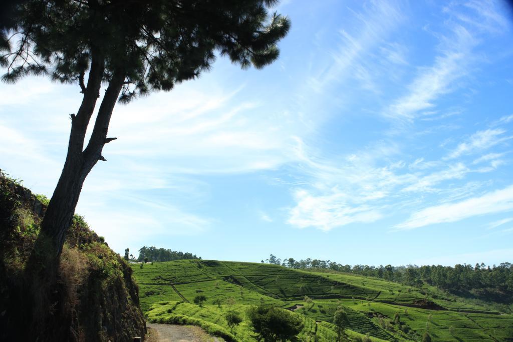 Orient Hotel Bandarawela Εξωτερικό φωτογραφία